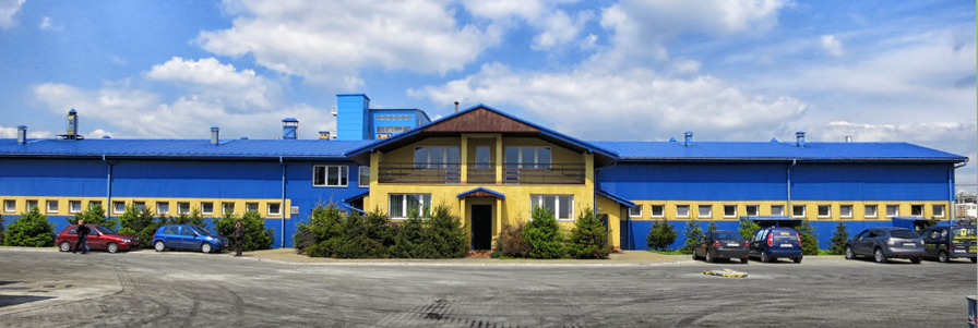 opis zdjecia
